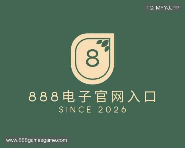解读888电子官网入口
